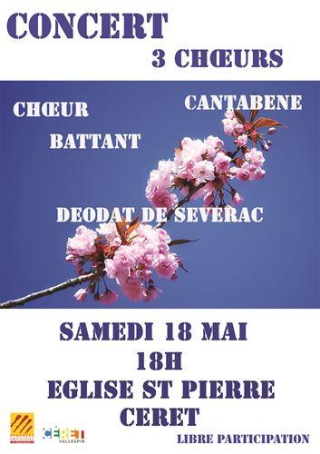 Copie 0 18 mai branche cerisier